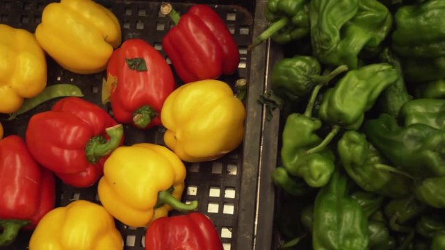 Capsicum annuum sold in supermarket stock footage video