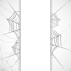 Vector spider web.
