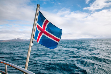 Fototapeta premium Icelandic flag against the sea