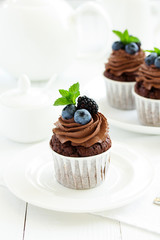 Chocolate cupcakes, with chocolate cream and fresh berries.