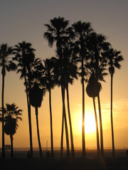 Fototapeta na wymiar Venice Beach, LA, California