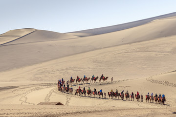 Camel caravan in Gobi desert in Dunhuang China
