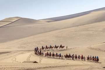 Wall murals Drought Camel caravan in Gobi desert in Dunhuang China  