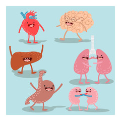 Cartoon human organs. Vector set. Healthy and strong cute liver, heart, brain, lungs, kidneys and stomach. Cartoon anatomy