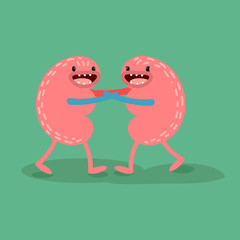 Fototapeta premium Vector cartoon human anatomy. Healthy kidneys