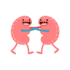 Vector cartoon human anatomy. Healthy kidneys