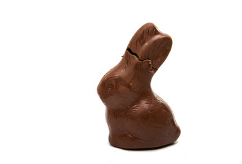Chocolate easter bunny isolated