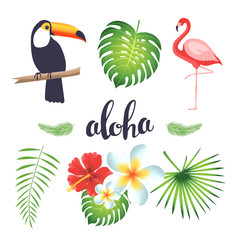 Set of toucan, flamingo, tropical leaves and flowers. Vector illustration