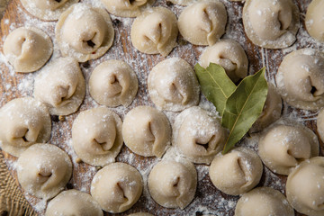 Dumplings with meat in process of cooking. Ingredients for cooking. Traditional russian and ukrainian food.