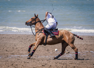 Beachpoli in Belgium