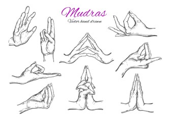 Vector hand drawn set of mudras. Isolated on white. Yoga. Spirituality. Sketch style . Hands