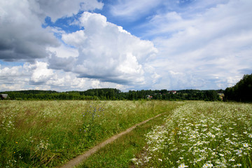 Fototapeta na wymiar Rural landscape with a dirt road in a field. European part of Russia.