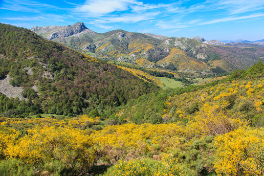 Mountain Palentina. Spain