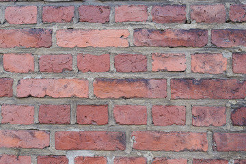 Obraz premium red brick wall background