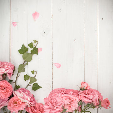 Romantic pink roses and branches of ivy on white wooden background