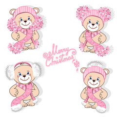 Teddy bear in hat set