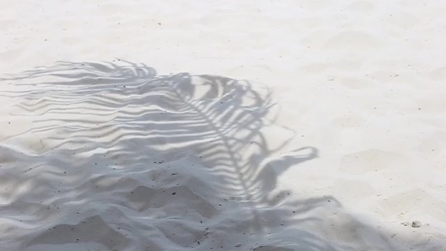 Coconut shade on sand