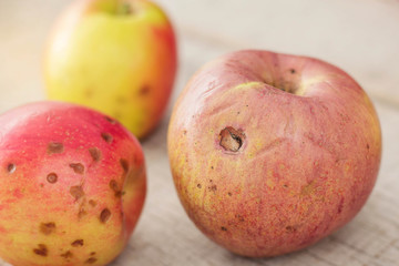 Apples with black spots on floor.
