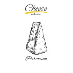 Cheese . Vector hand drawn . Isolated on white