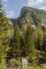 Italia: un ponte di legno sul percorso a piedi della Val di Mello, una valle verde circondata da...