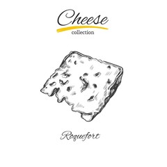 Cheese . Vector hand drawn . Isolated on white