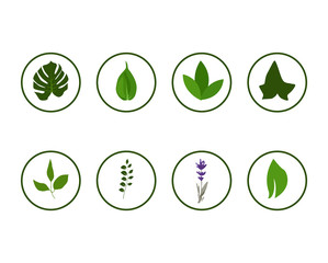 floral greenery icons in circle