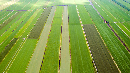Photographie a&eacute;rienne d'un patchwork de champs, dans la campagne hollandaise