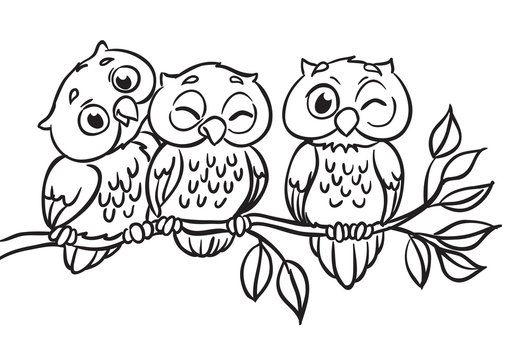 Three owls are sitting on a branch. Outlined for coloring book.