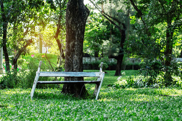 chairs on grass in the park.