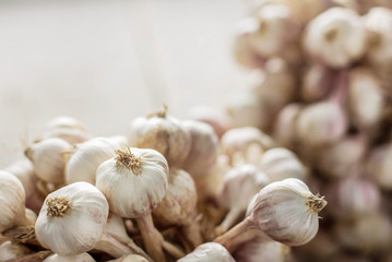Dried garlic with white background.