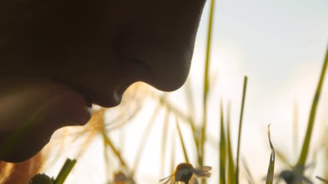 Young bohemian woman smelling to a wild chamomile flower on a meadow