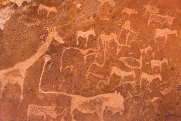Twyfelfontein Rock Art - Damaraland -Namibia