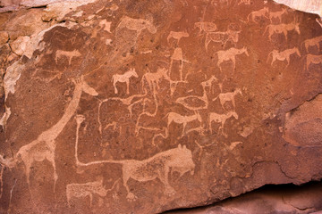 Twyfelfontein Rock Art - Damaraland -Namibia