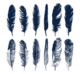 Hand drawn feathers set on white background