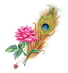 Peacock feather, rose and pendant in the form of heart, watercolor pattern on a white background.