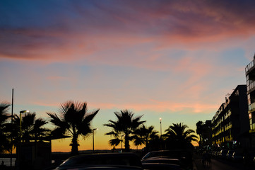Fototapeta premium Night time silhouette of palm trees at sunset outdoors natural background