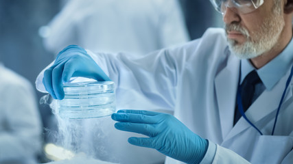Close-up of a Medical Research Scientist Holds Cold Petri Dish with Samples. He Works in a Busy...