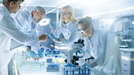 Team of Medical Research Scientists Work on a New Generation Disease Cure. They use Microscope,...