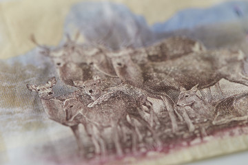 Taiwan money