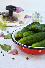 Preservation of pickling cucumber. Preparation of conservation from organic vegetables on a light background. Homemade organic crunch green pickles in a jar. Copy space