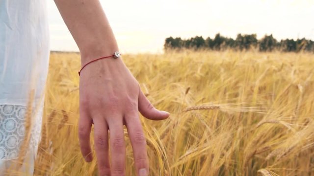 Фото руки в поле Hands Grain Изображения: просматривайте стоковые фотографии, векторные изображен