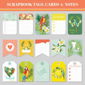 Tropical Flowers and Parrots Theme for Scrapbook Tags, Cards and Notes for Birthday, Baby Shower, Party, Design in vector