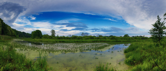 Beautiful summer landscape panorama with swamp, green forest and blue sky with clouds. Natural outdoors enviromental concept