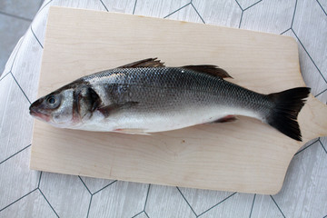 sea bass