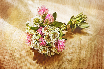 Fototapeta premium Delicate bunch of clovers