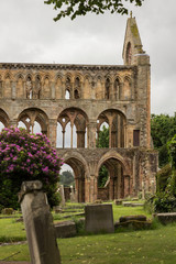 Fototapeta premium Jedburgh Abtei