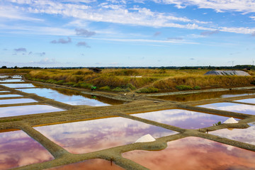 marais salant olonne sur mer