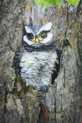 Toy owl in the tree