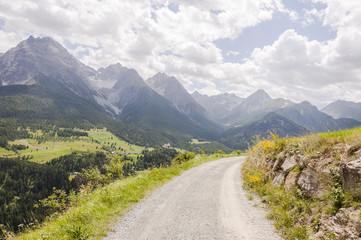 Scuol, Ftan, Wanderweg, via Engiadina, Engadin, Unterengadin, Schloss, Tarasp, Inn, Inntal, Alpen, Graubünden, Bergblumen, Sommer, Schweiz