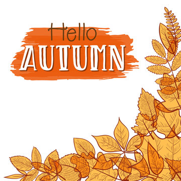 Background with colorful transparent skeleton autumn leaves, hello autumn. Vector